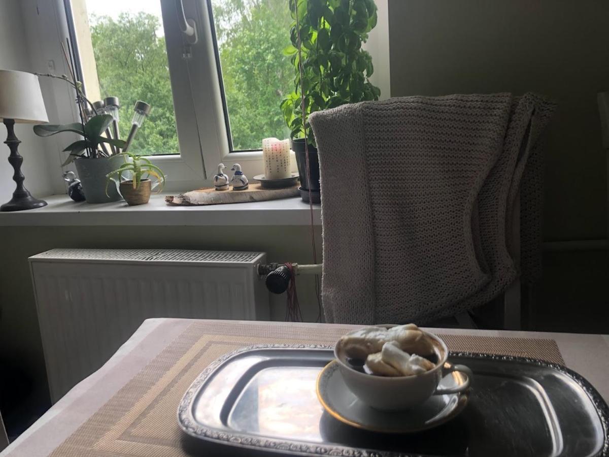 Dom Otwarty Lejlighed Jelenia Góra Eksteriør billede